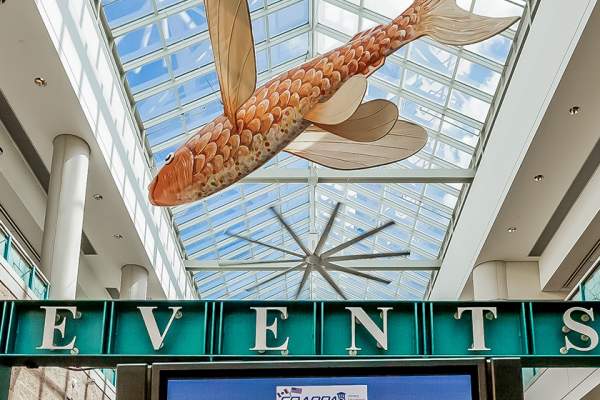 More Than 800 Medical And Travel Professionals Visit The Atlantic City Convention Center During Two Events This Week