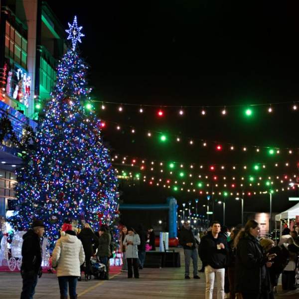 Where to See Holiday Trees In and Around Atlantic City