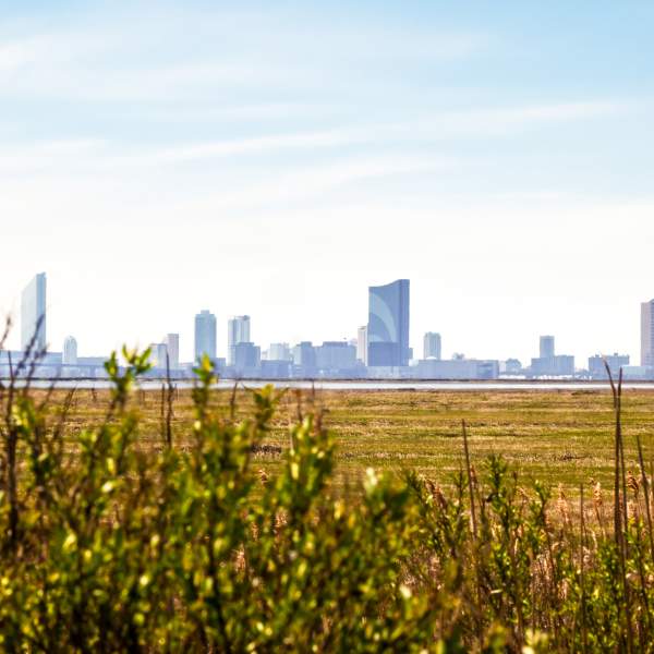 How to Celebrate Earth Day and Stay Eco-Friendly in Atlantic City