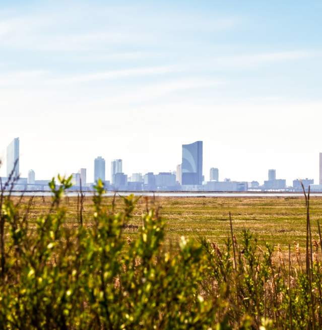 Wildlife Refuge - reedit