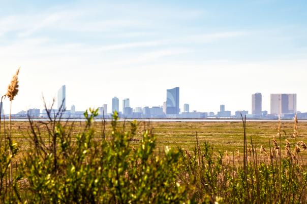 Wildlife Refuge - reedit