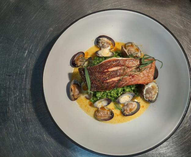 Cardinal Food - Salmon