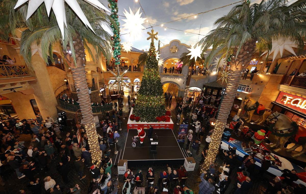 Tropicana Tree Lighting