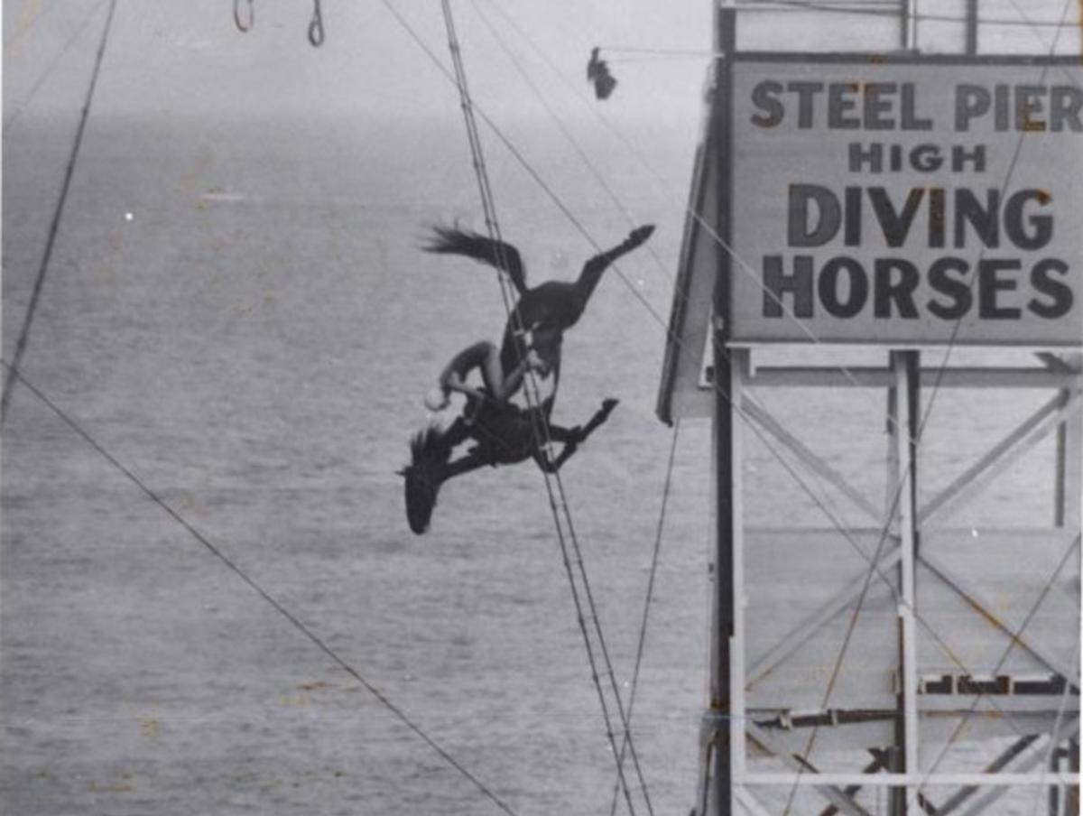 Historic_Steel Pier_Horse Dive