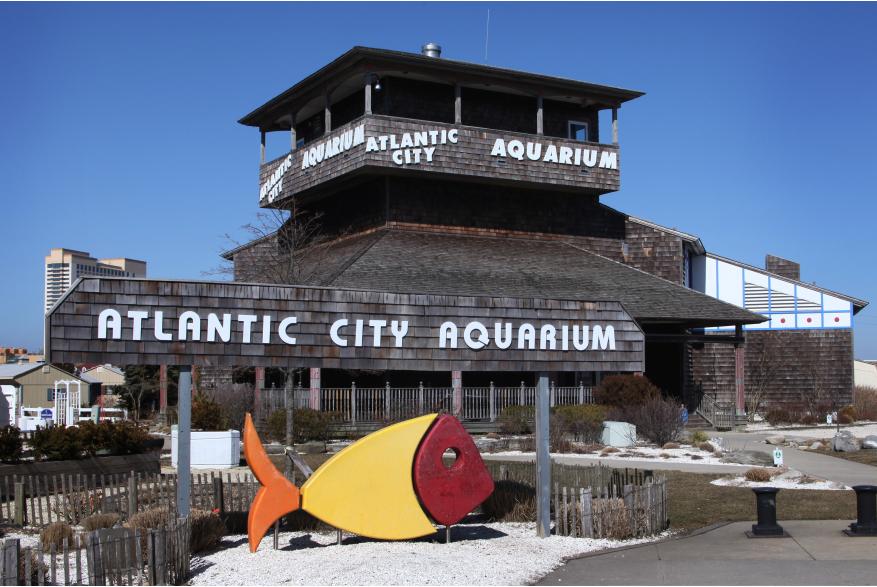 AC Aquarium_01