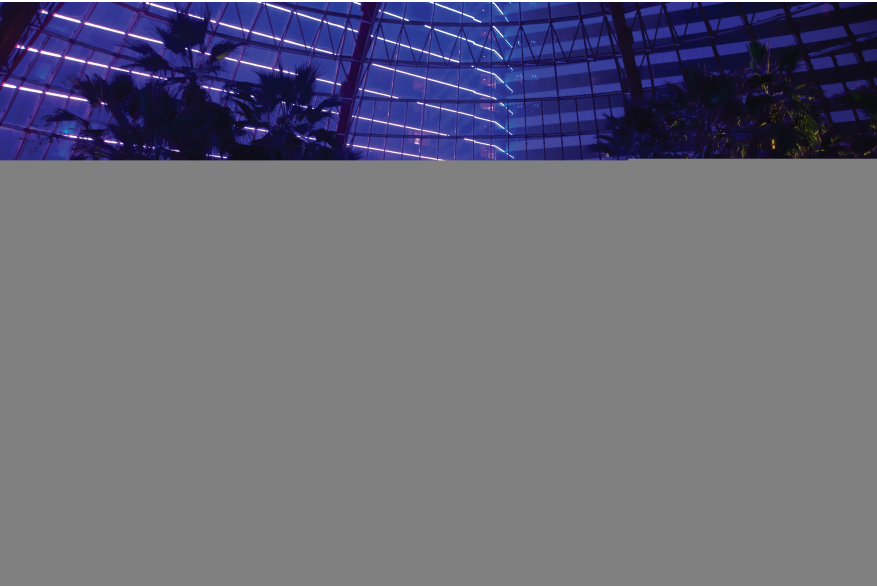 The Pool_Harrahs_03