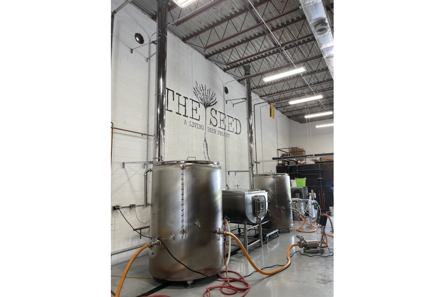 The Seed Brewery