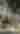 The Partridge Inn Augusta, Curio Collection by Hilton