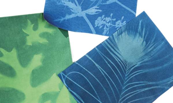 Artrageous! Family Sunday: The Morris Celebrates Earth Day!