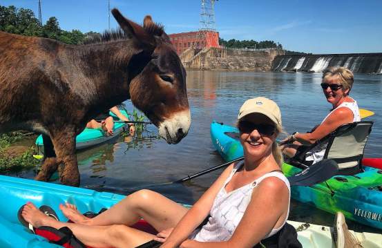 Cole Watkins Kayak Tours