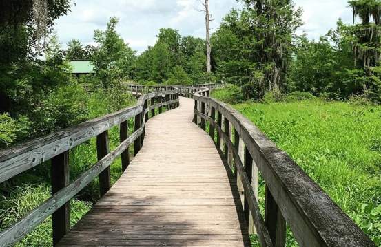 Phinizy Swamp Nature Park