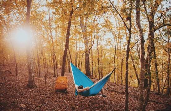 Stevens Creek Heritage Preserve