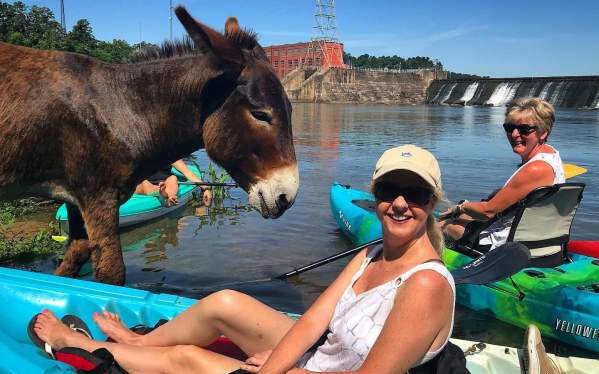 Cole Watkins Kayak Tours