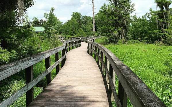 Phinizy Swamp Nature Park