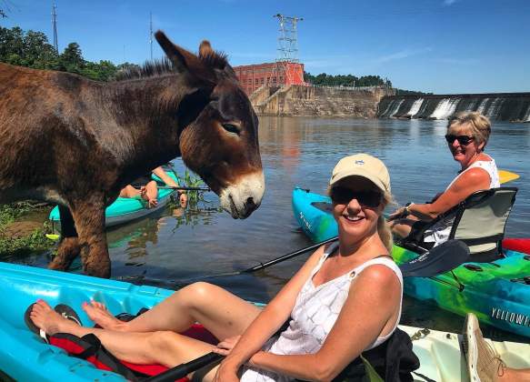 Cole Watkins Kayak Tours