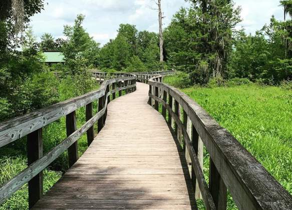 Phinizy Swamp Nature Park