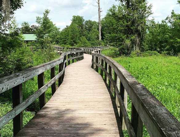 Phinizy Swamp Nature Park