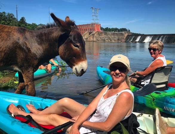 Cole Watkins Kayak Tours