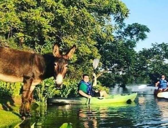 Savannah Rapids Kayak Rental
