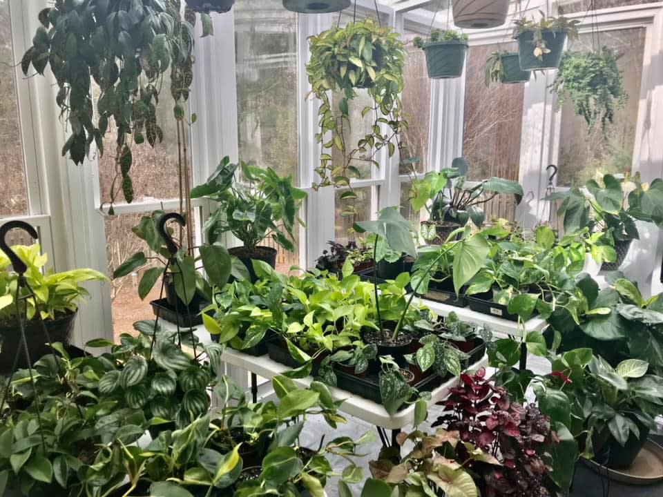 fake fern hanging plants Artificial Hanging Plant – Brentwood Interiors