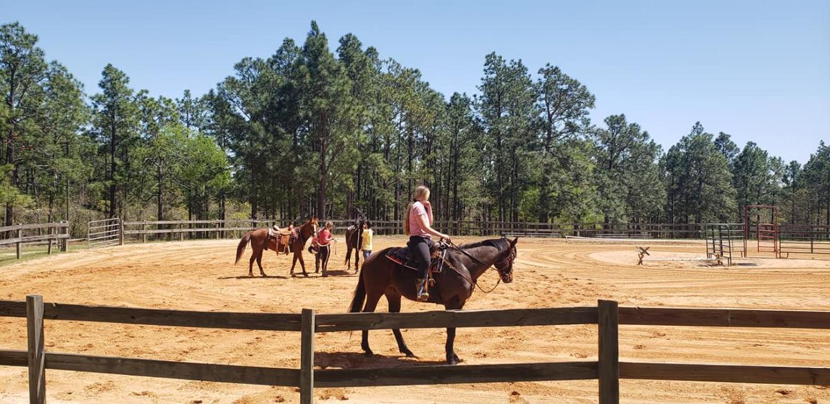 Hilltop Riding Stable
