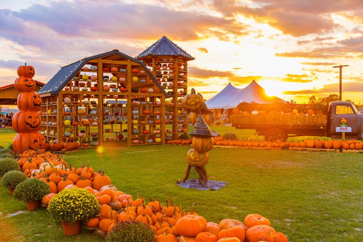 Sara's Farm Adventure