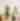 Westobou Curated Palette