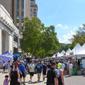 Crowd at Arts in the Heart Festival