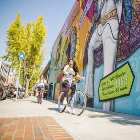 Bike Bike Baby - Monica