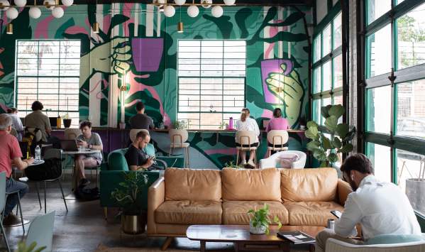 Trellis Coffee Bar - Interior Shot