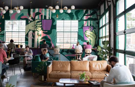 Trellis Coffee Bar - Interior Shot