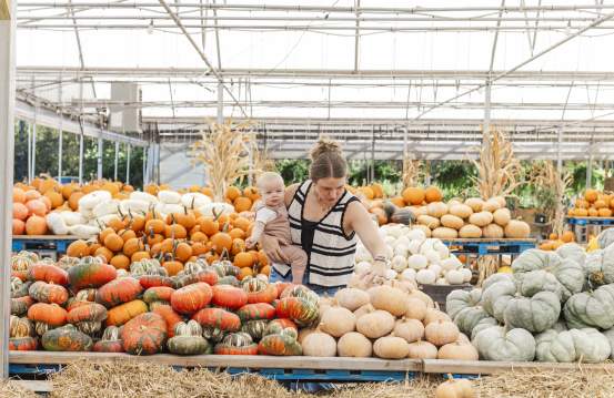 Events & Things to Do in Augusta This November