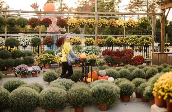 Best Fall Festivals & Events in Augusta