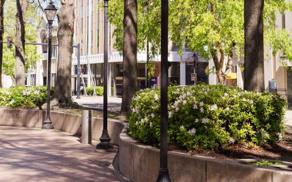 Lamp Posts in Downtown Augusta