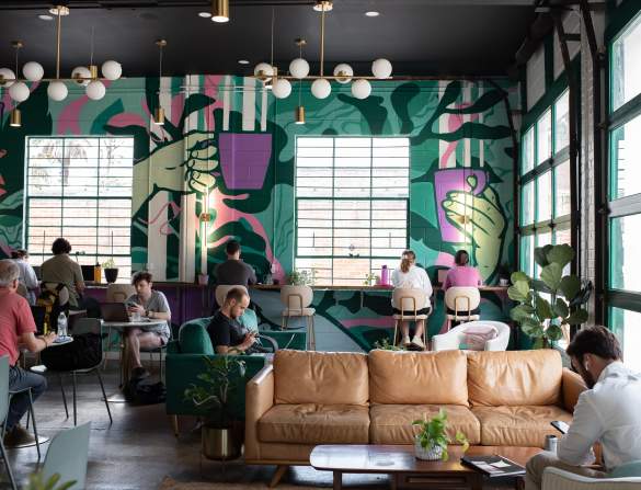 Trellis Coffee Bar - Interior Shot