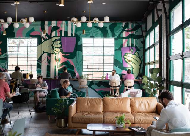 Trellis Coffee Bar - Interior Shot