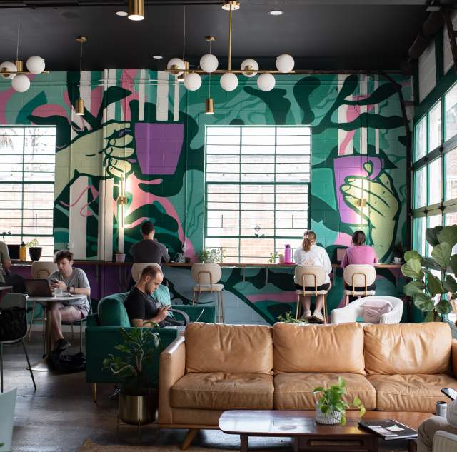 Trellis Coffee Bar - Interior Shot