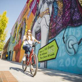 Bike Bike Baby - Staci