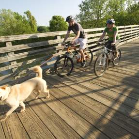 biking with dog on wood bridge