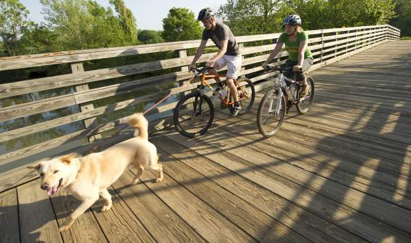 biking with dog on wood bridge