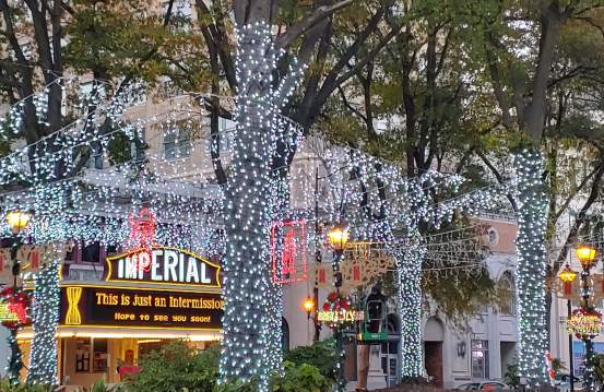 Best Holiday Photo Spots in Augusta