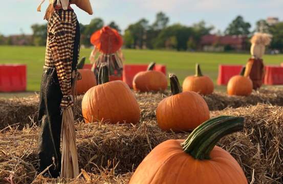 10 Free Things to Do This Fall in Augusta