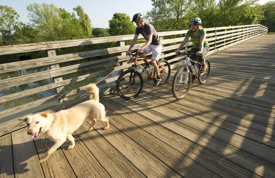 biking with dog on wood bridge