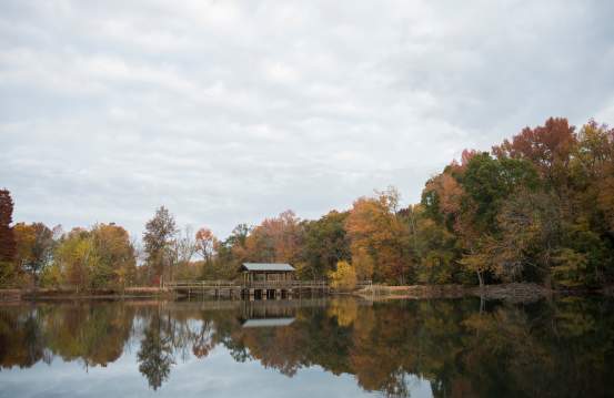 Scenic Spots for Leaf Watching