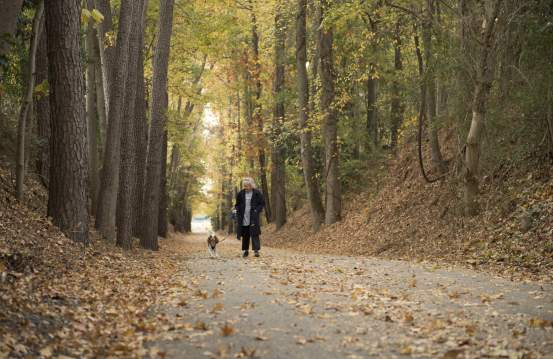 12 Ideas for Your Fall Bucket List in Augusta