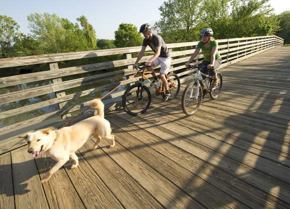 biking with dog on wood bridge