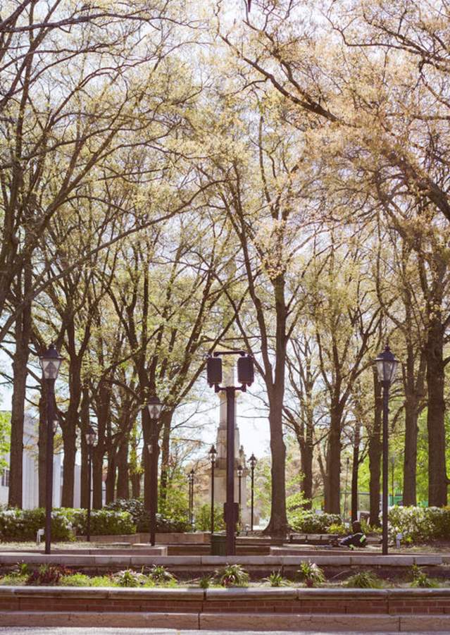 Downtown Augusta Landscape - Spring / Fall