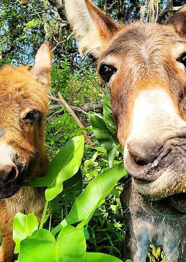 cole watkins; tours; outdoors