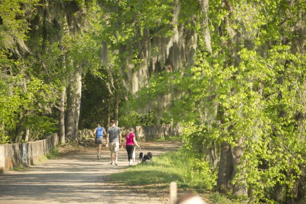 family walk