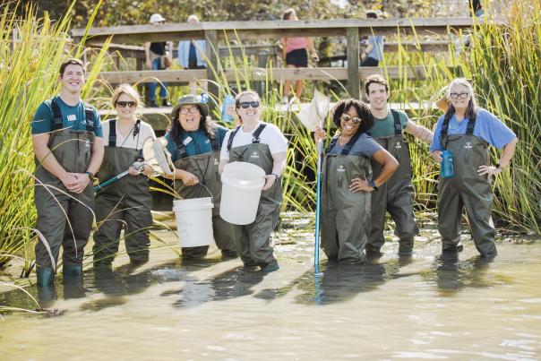 AAE - Eco Explorers